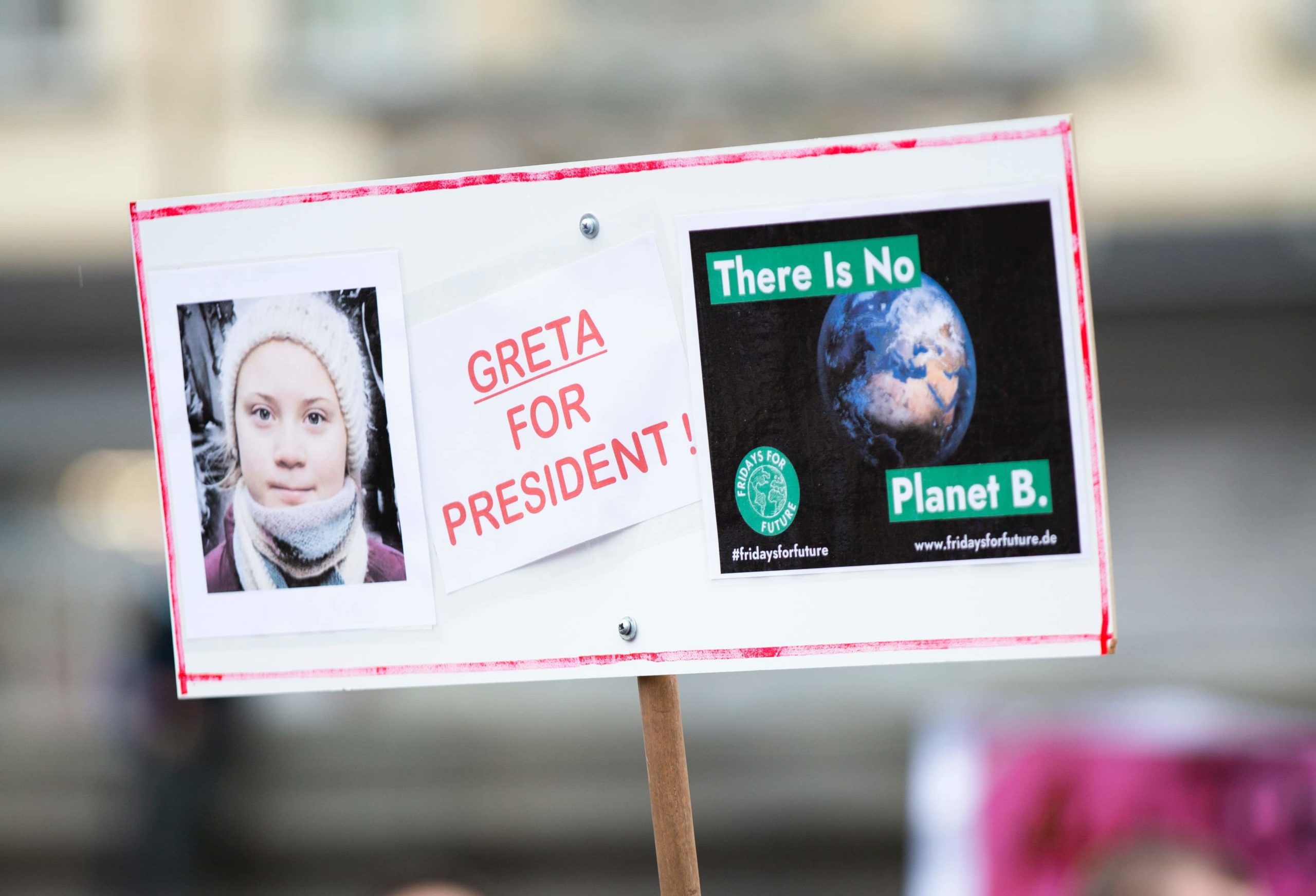 Greta Thunberg y el millón de euros por el Amazonas