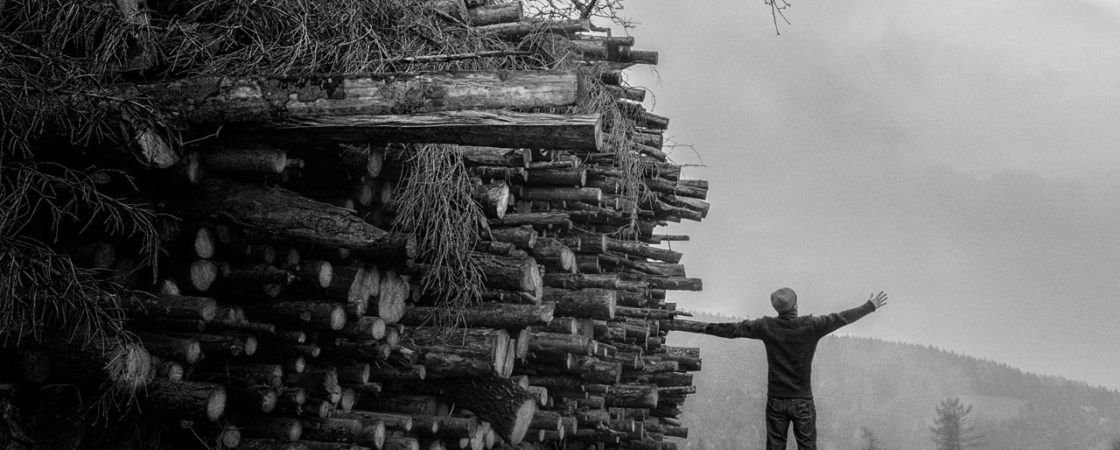 Daño ambiental de la industria del papel