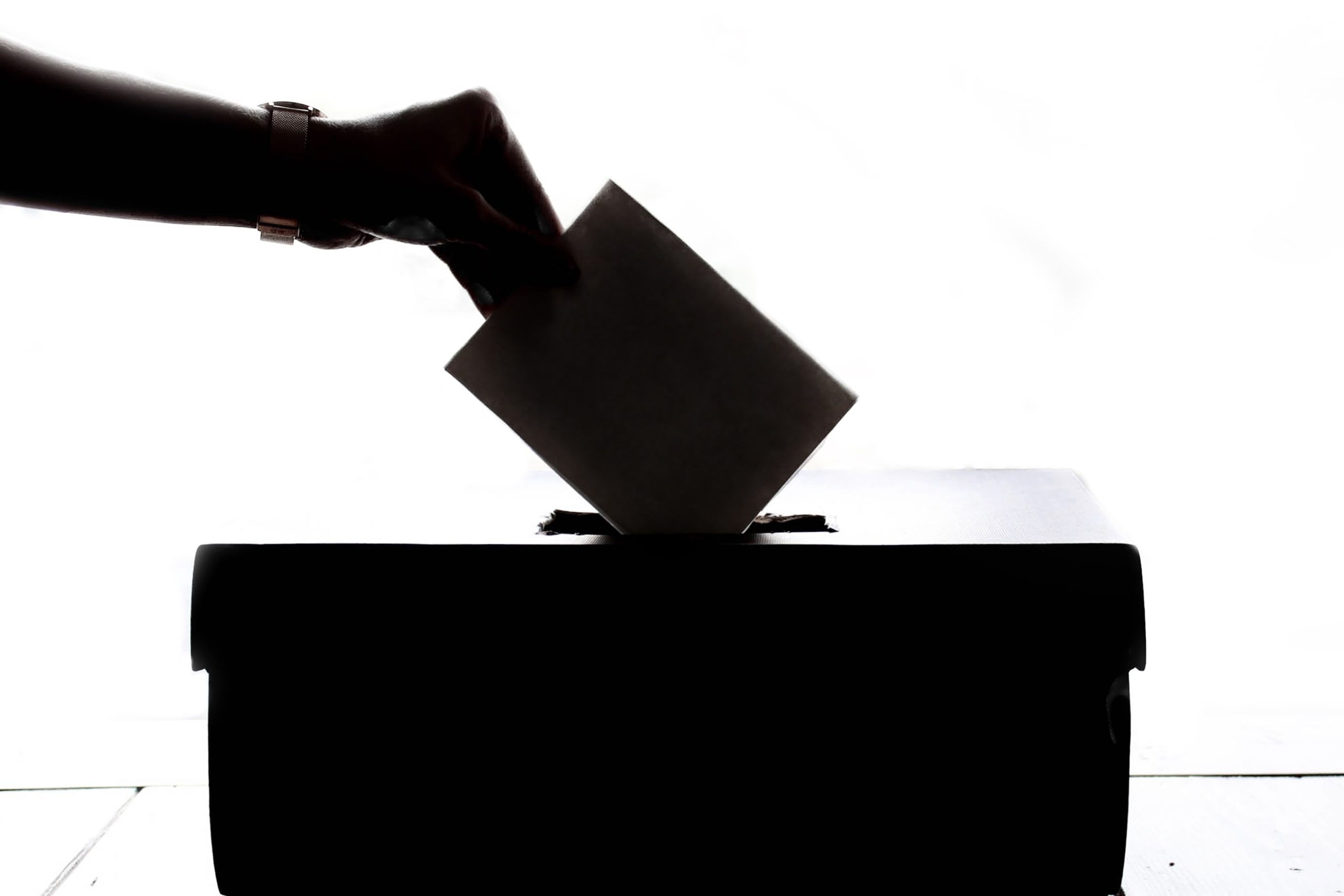 El 46,7% de los ciudadanos en Estonia votó online en las últimas elecciones.