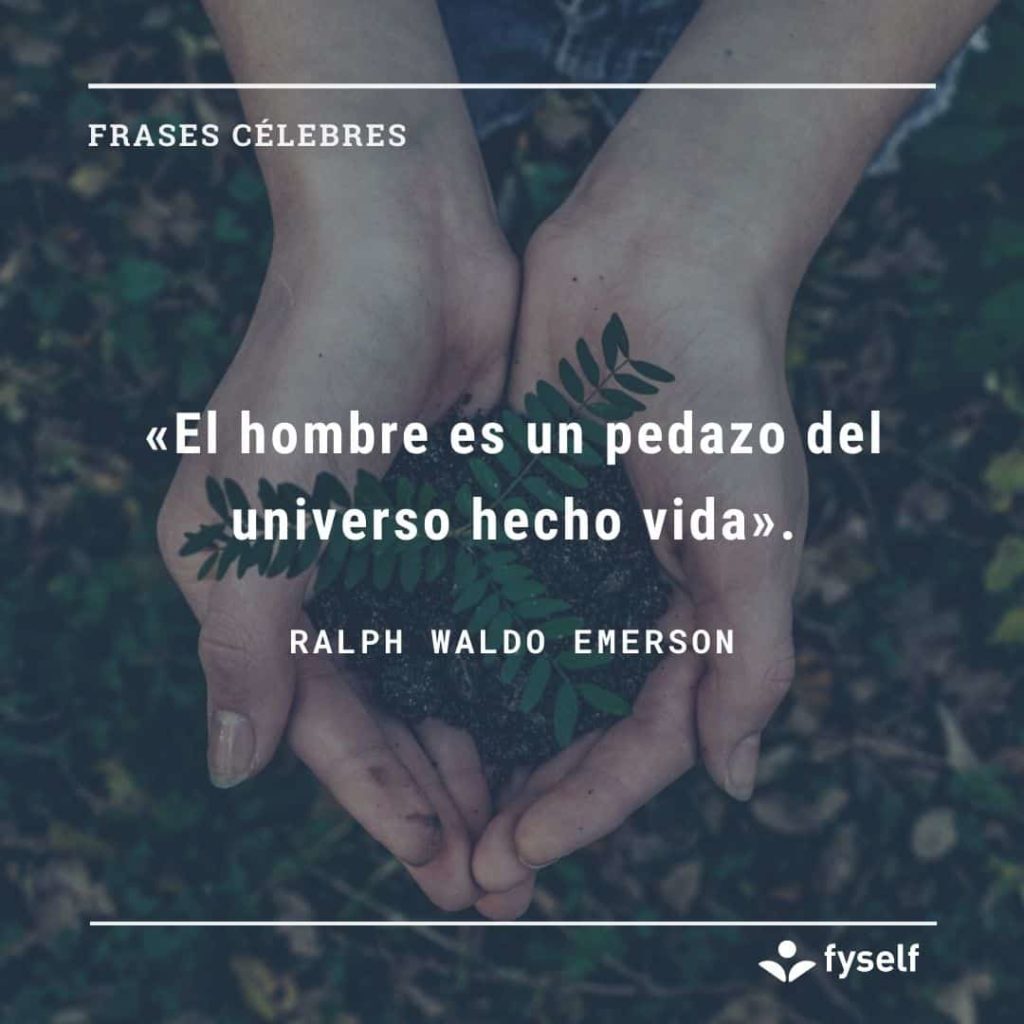 Frases Célebres FySelf