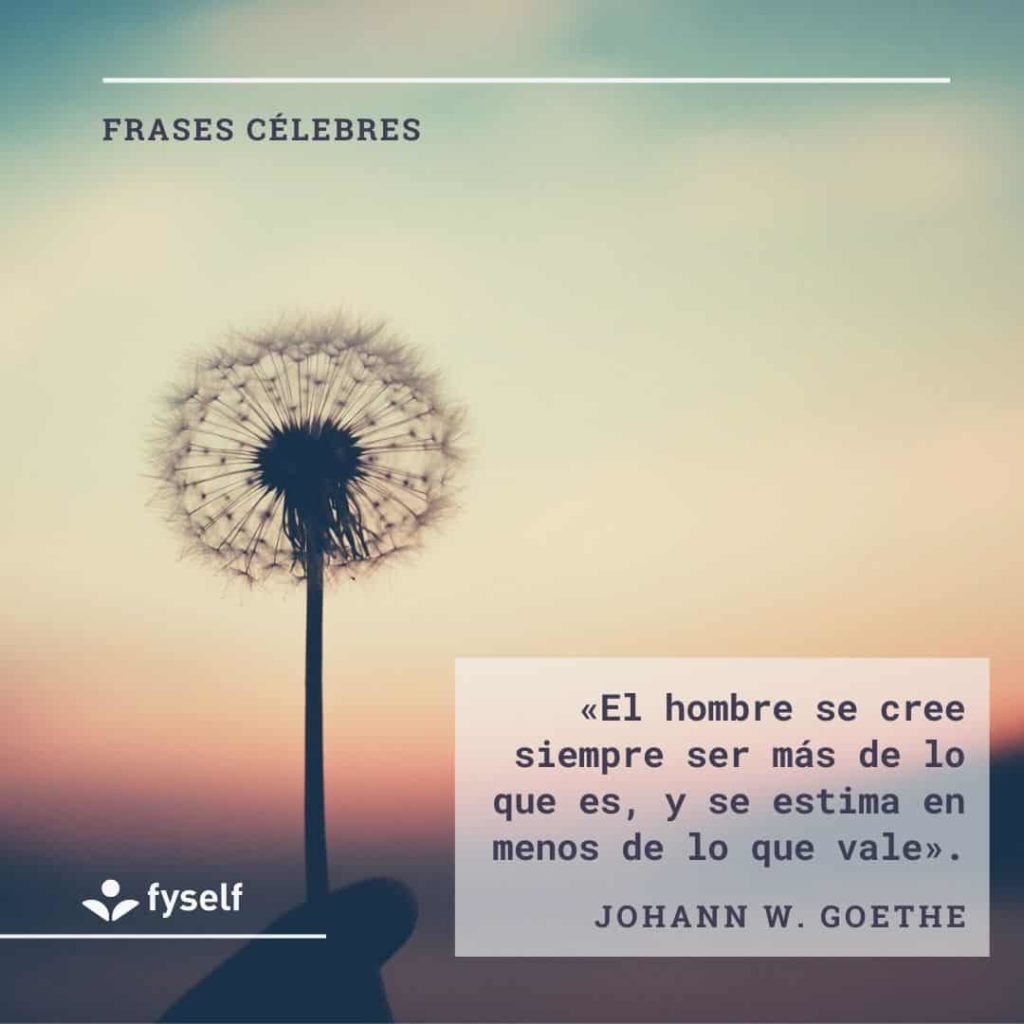 Frases Célebres FySelf