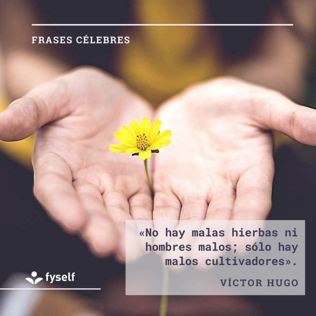 Frases Célebres FySelf