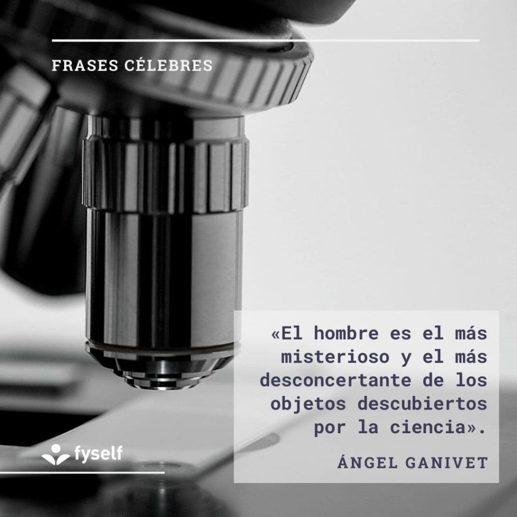 Frases Célebres FySelf